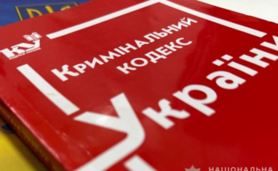 Обіцяла допомогти з покупками та обікрала: поліцейські П’ятихаток викрили зловмисницю