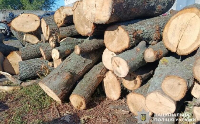На Дніпропетровщині слідчі повідомили про підозру чоловіку за незаконну порубку лісу поблизу міста П’ятихатки